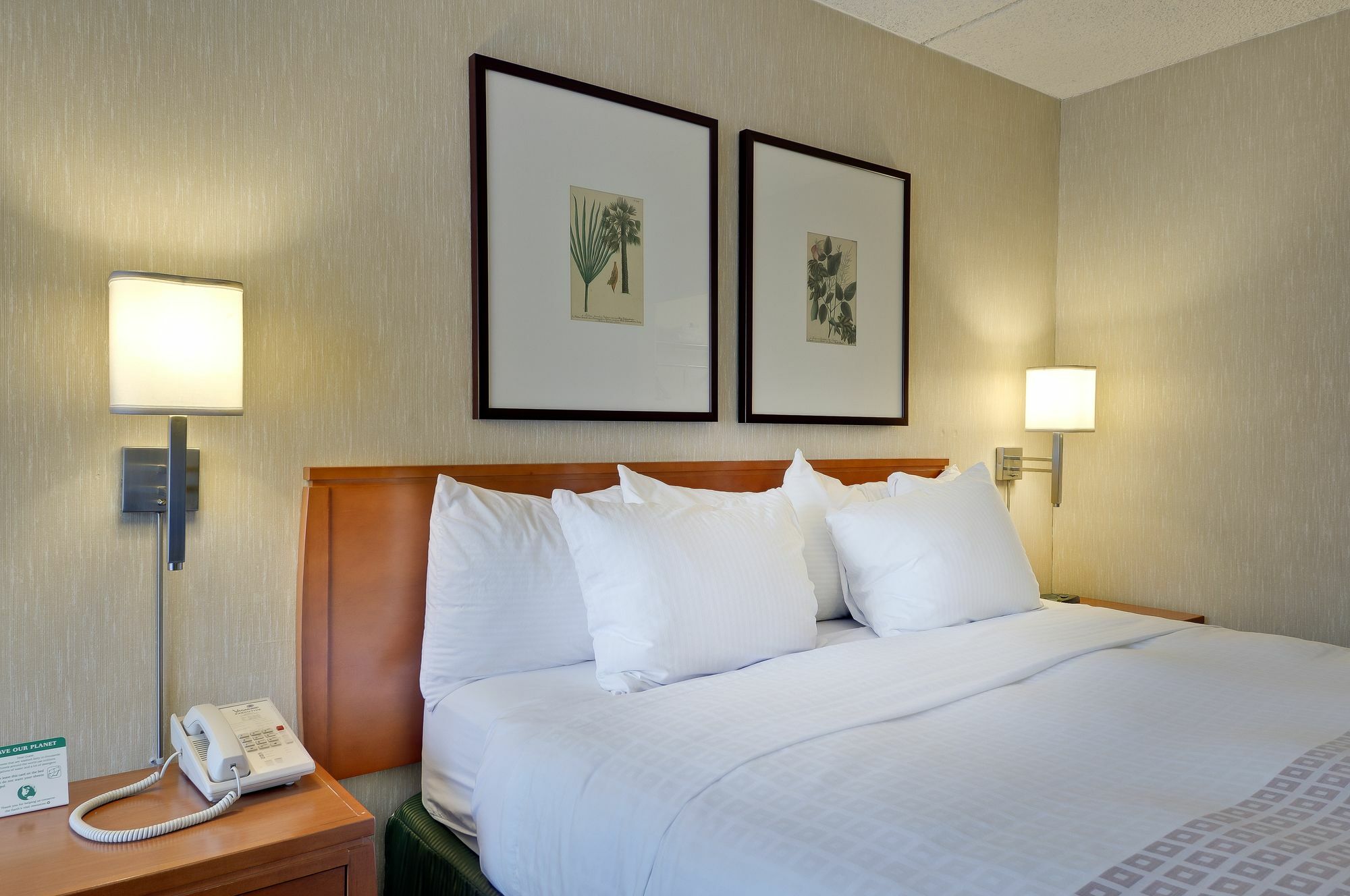 Hotel Vagabond Executive Old Town
